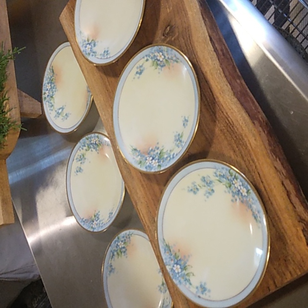 C. Hutschenreuther Company IT Uno Favorite Bavaria Plates